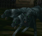 Cerberus