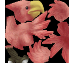 Chocobo (Red)