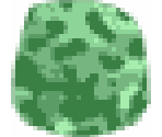 Green Camo