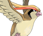 #018 Pidgeot