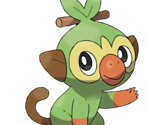 #003 Grookey