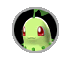 Chikorita