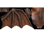 Bat