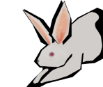 Hare