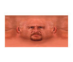 Steve Austin