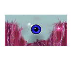 Neversoft Eyeball