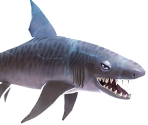 Tiger Shark