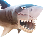 Megalodon