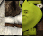 Shrek